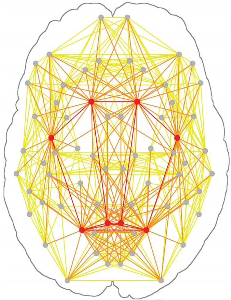 第一届磁共振脑网络